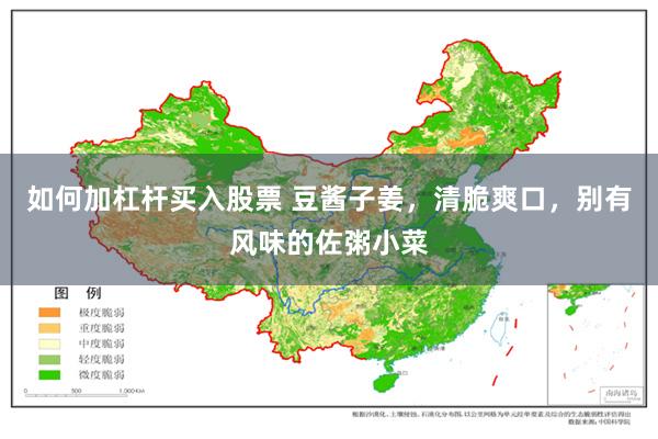 如何加杠杆买入股票 豆酱子姜，清脆爽口，别有风味的佐粥小菜