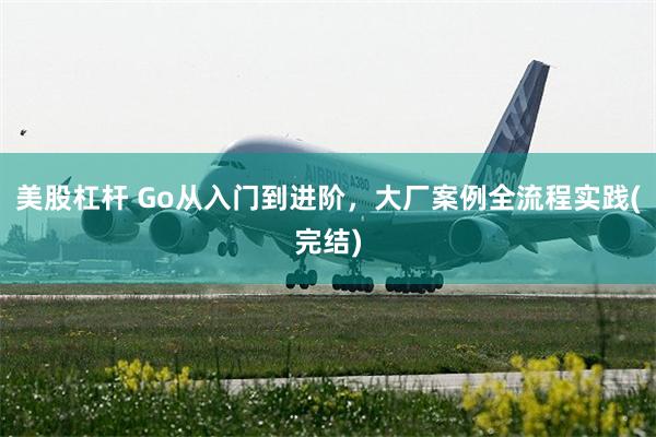 美股杠杆 Go从入门到进阶，大厂案例全流程实践(完结)