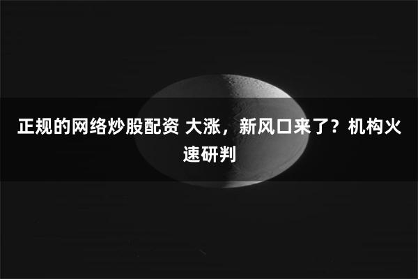 正规的网络炒股配资 大涨，新风口来了？机构火速研判