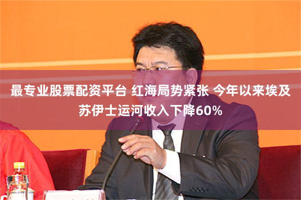 最专业股票配资平台 红海局势紧张 今年以来埃及苏伊士运河收入下降60%