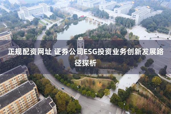 正规配资网址 证券公司ESG投资业务创新发展路径探析