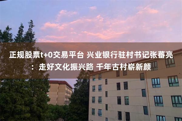 正规股票t+0交易平台 兴业银行驻村书记张蕃亮：走好文化振兴路 千年古村崭新颜