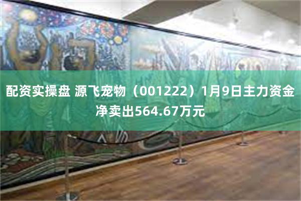 配资实操盘 源飞宠物（001222）1月9日主力资金净卖出564.67万元