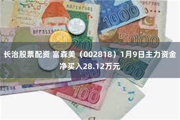 长治股票配资 富森美（002818）1月9日主力资金净买入28.12万元