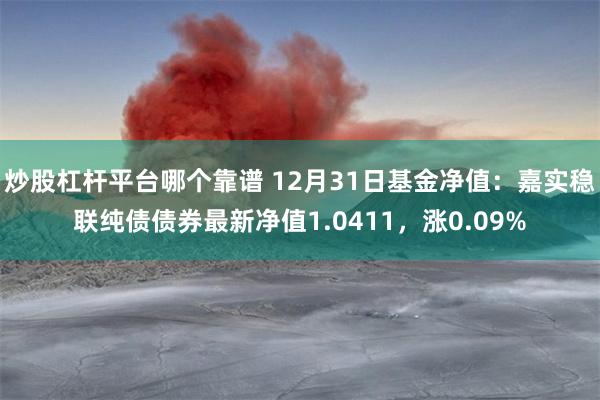 炒股杠杆平台哪个靠谱 12月31日基金净值：嘉实稳联纯债债券最新净值1.0411，涨0.09%