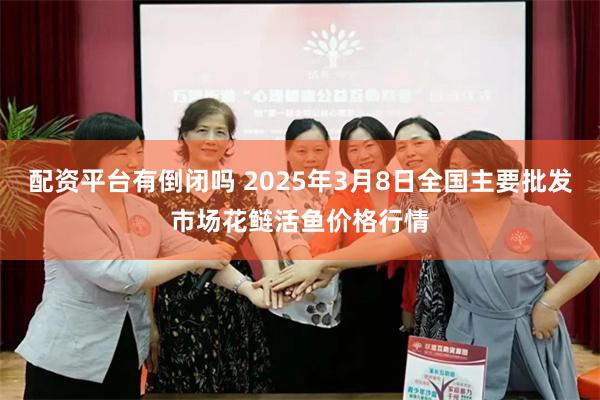 配资平台有倒闭吗 2025年3月8日全国主要批发市场花鲢活鱼价格行情